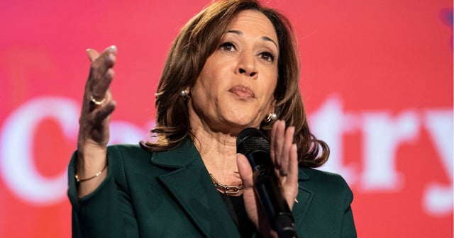 Vice President Kamala Harris speaks at a town hall in Royal Oak, Michigan, on Monday. (Sarah Rice / Getty Images)