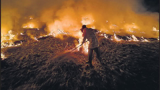 A farmer burns stubble on the outskirts of Amritsar. (PTI)