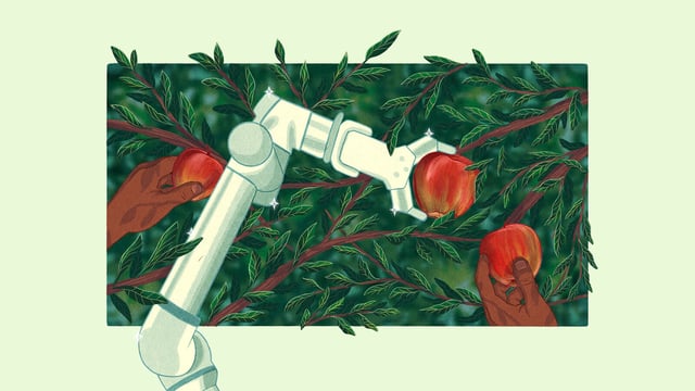 an illustration of a robot arm picking an apple from a tree alongside human hands also picking apples from the same tree