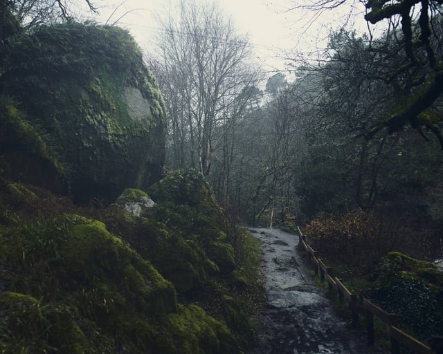 Sur le site des «roches du Diable», où la voiture de l'abbé Guégan a été retrouvée, le 14 février à Guilligomarc'h.