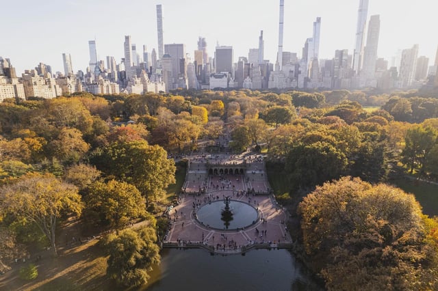 Central Park has had one of the driest spells in history.