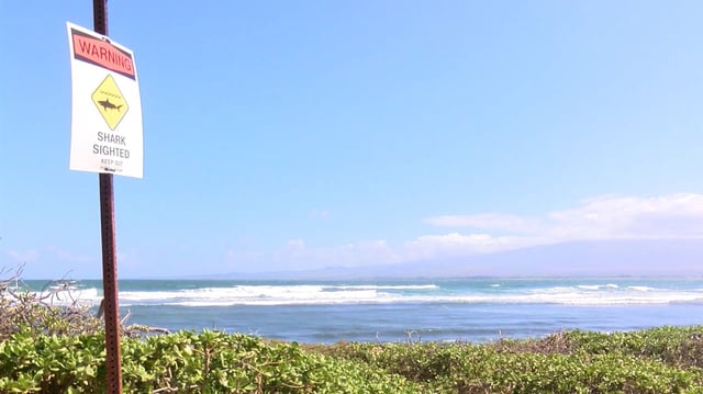A "shark sighted" sign is posted at Waiehu Beach Park, where a shark bit a surfer Friday, November 1, on Maui.
