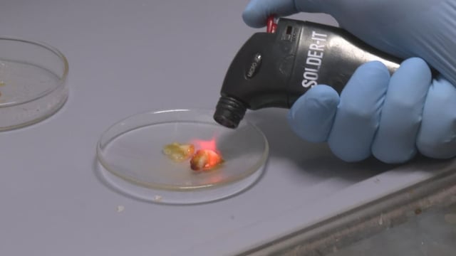 Mystery blob