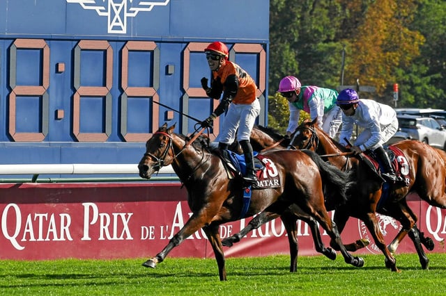 Il existerait 226 hippodromes en France, qui organisent plus de 18 000 courses par an, représentant près de 66 000 emplois, selon les chiffres de l'Institut français du cheval et de l'équitation.
