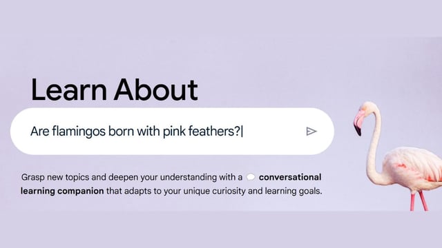 Google’s Learn About AI tool is currently not available in India