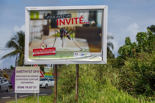 Lors d'une campagne de prévention dans l'île voisine de Martinique, en 2016.