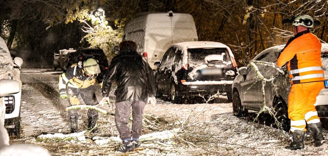 Die Feuerwehr und ein Anwohner in Solingen in NRW im Einsatz: Hier stürzte ein Baum bei plötzlichem Schneefall um