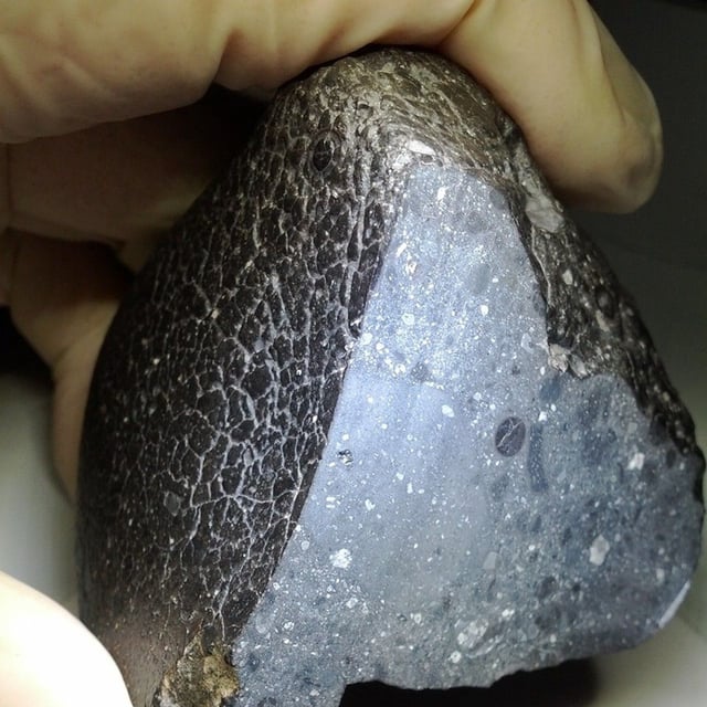 Designated Northwest Africa (NWA) 7034, and nicknamed "Black Beauty," this Martian meteorite weighs approximately 11 ounces (320 grams).