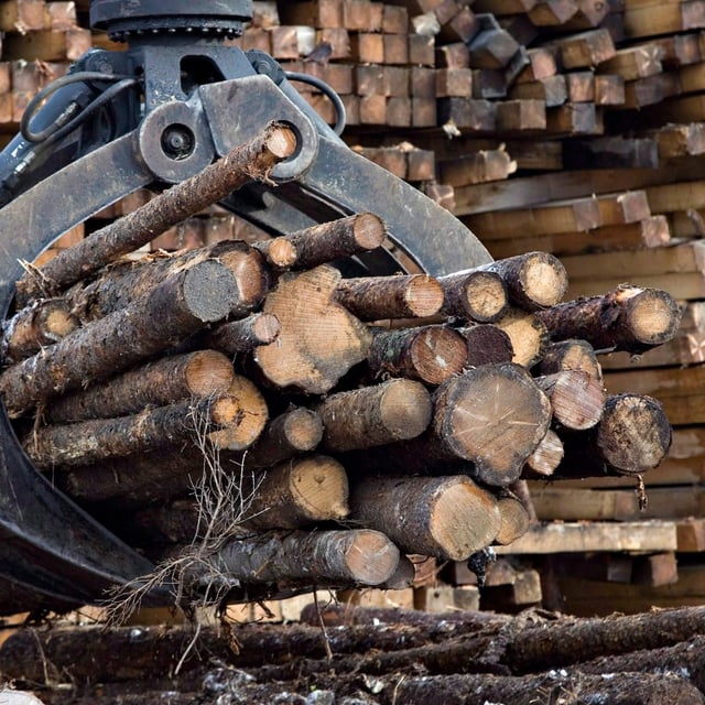Quebec Premier François Legault is raising concerns about the province's forestry industry in the face of U.S. president-elect Donald Trump's tariff threats. Logs are shown at a softwood lumber sawmill on Nov. 14, 2008 in Saguenay, Quebec. THE CANADIAN PRESS/Jacques Boissinot