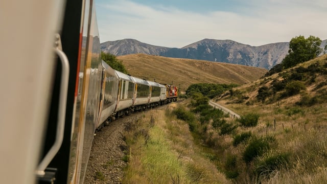 A woman was dragged from her train carriage when a tree branch hit her while recording a Reel. 