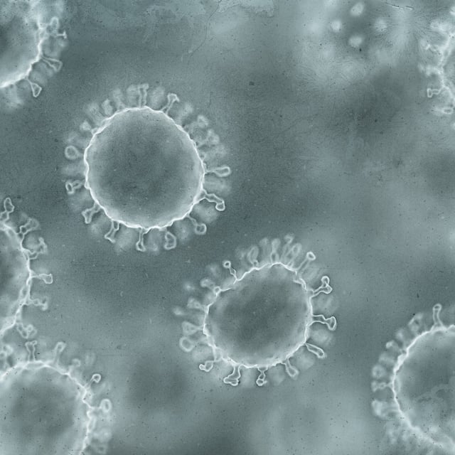 A stock image of a viral particle, April 16, 2020. Latest CDC data shows a spike in norovirus, a stomach bug.