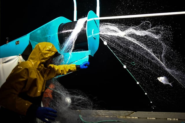 Un pêcheur remonte ses filets à bord après un mois d'interdiction de pêche dans le golfe de Gascogne, au large de la ville de La Rochelle, le 21 février.