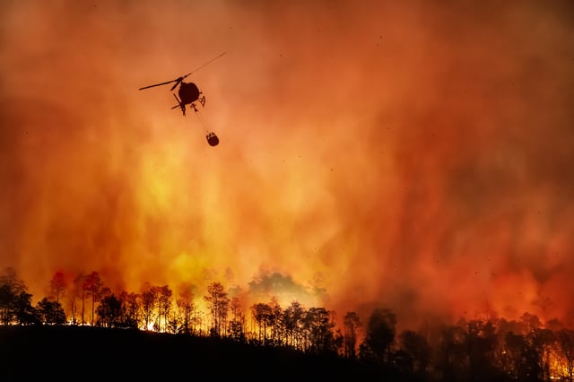 30,8 millions d’hectares de végétation ont brûlé au Brésil en 2024, une superficie supérieure à celle de l’Italie.