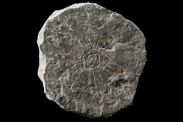 Archaeologists named the objects sun stones because many of the stone discs were etched with branching rays emanating from central circles — a recognizable image of the sun.