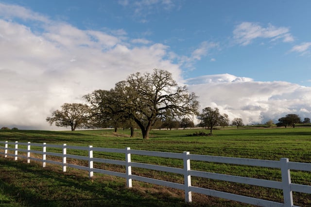 FILE: A large animal abuse investigation was conducted on multiple properties in San Joaquin County, Calif., on Wednesday, Jan. 22, 2025.