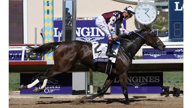 Jockey Brian Hernandez Jr. reacts as he rides Thorpedo Anna to victory in the 2024 Breeders’ Cup Distaff in November at Del Mar. Thorpedo Anna won the Horse of the Year honors at the Eclipse Awards. She also claimed the trophy for 3-year-old filly. (AP Photo/Gregory Bull)