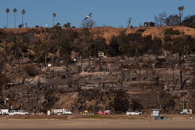 Homes and trees destroyed by the Palisades Fire are seen along the coastline on Wednesday, Jan. 15, 2025, in the Pacific Palisades neighborhood of Los Angeles. (AP Photo/Carolyn Kaster)