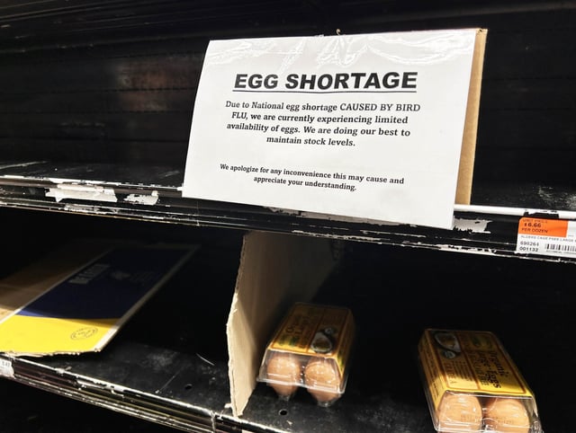 National Egg Shortage due to Bird Flu, sign on empty shelf at supermarket, Queens, New York. 