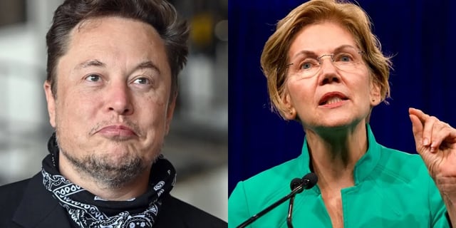 Donald Trump doge dogecoin Elizabeth Warren elon musk United States Department of Government Efficiency