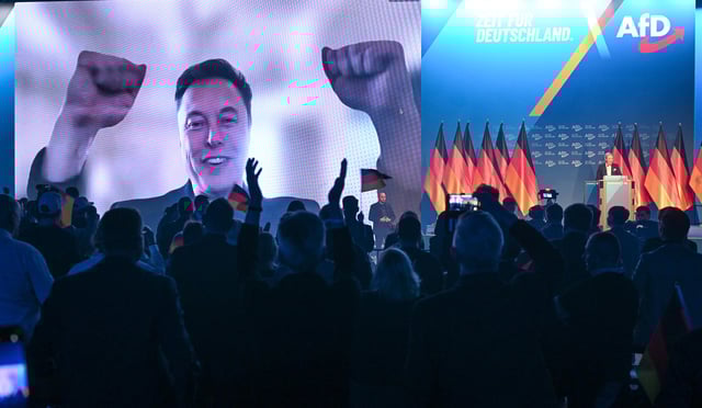 Elon Musk appeared at the AfD campaign launch via video link on Saturday.