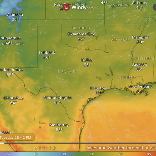 This image, taken from Windy.com on January 28, 2025, shows current weather trends in parts of Texas.