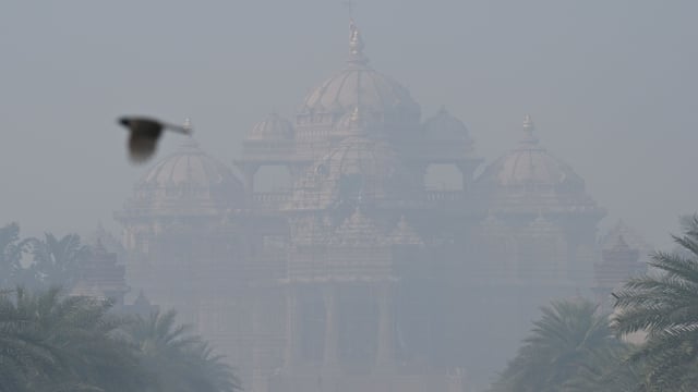 A view seen at Akshardham Temple on cold and foggy morning, in New Delhi, India.