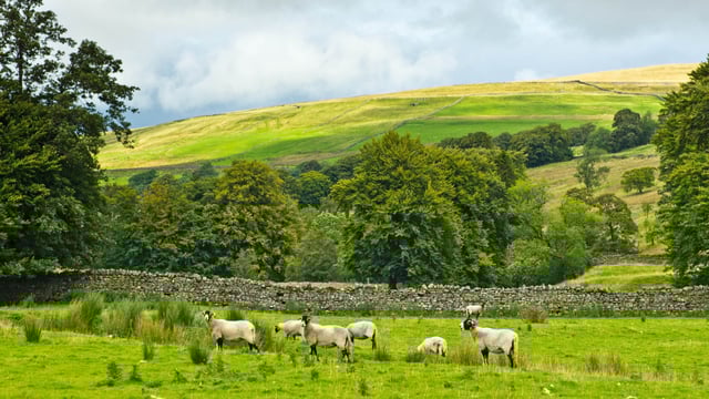 England’s uplands are likely to undergo some of the most significant land use changes