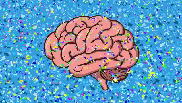 Brains May Hold More Microplastics Than Livers Or Kidneys – What Does This Mean For Us?