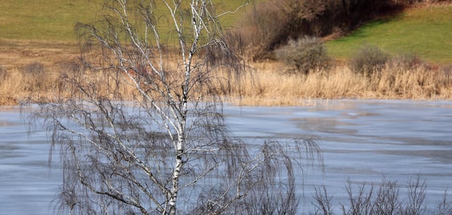 Der Niedersonthofener See in Bayern ist Ende Januar mit einer dünnen Eisschicht überzogen