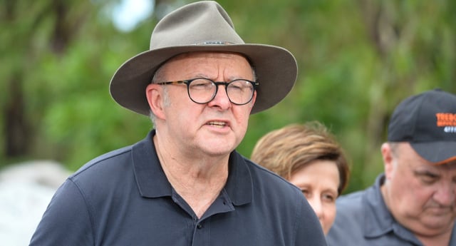 Anthony Albanese (Image: AAP/Scott Radford-Chisholm)
