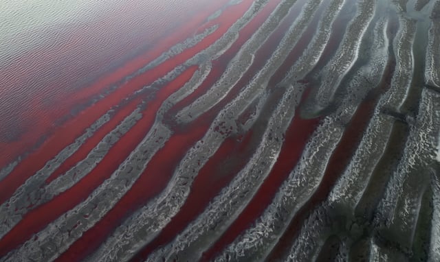 The banks of the Río de la Plata are dyed red at the mouth of the Sarandi stream, whose waters are stained by unknown contaminants, on the outskirts of Buenos Aires, Argentina, Thursday, Feb. 6, 2025. (AP Photo/Rodrigo Abd)