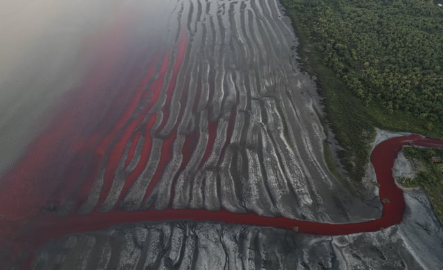 The "Sarandi" stream, dyed red due to unknown contaminants allege residents, flows into the Río de la Plata on the outskirts of Buenos Aires, Argentina, Feb. 6, 2025. (AP Photo/Rodrigo Abd)