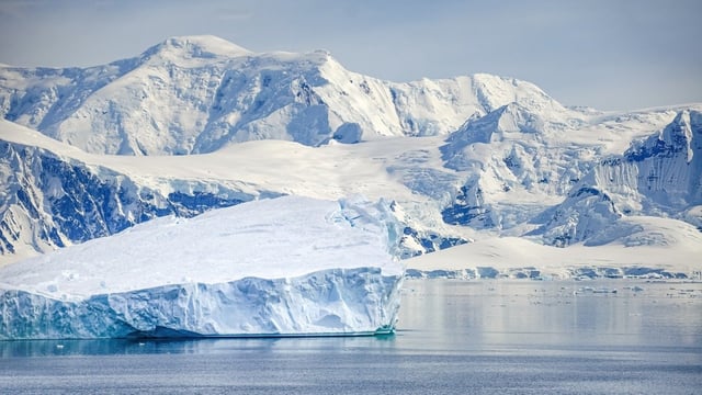 A fossil found in Antarctica revealed Vegavis iaai as the oldest known modern bird.