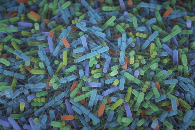 © Donny Bliss, NIH via Flickr