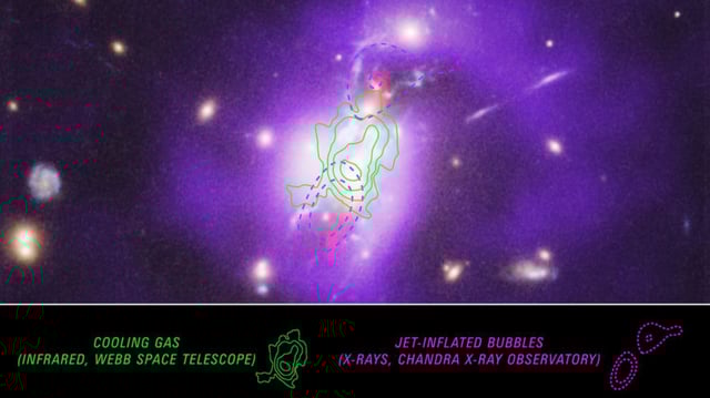 The core of the Phoenix cluster is shown across the whole electromagnetic spectrum. The bright purples represent X-rays produced by the hot gas, and the dashed purple outlines show regions where this hot gas has been pushed away by the radio jets from the supermassive black hole. The radio jets themselves are shown in red colors. The blues and yellows represent visible light emitted by cool gas and stars. The green contours show the “warm” gas that is in the process of cooling, newly measured in the MIT study with JWST. Credits: NASA