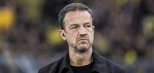 Auf Jobsuche: Fredi Bobic musste vor rund zwei Jahren beim damaligen Bundesligisten Hertha BSC gehen