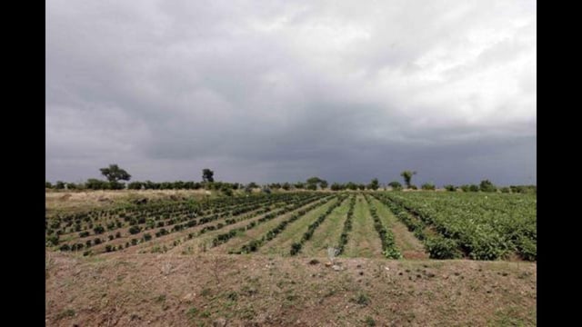 Land for proposed Purandar airport. (REPRESENTATIVE PHOTO)