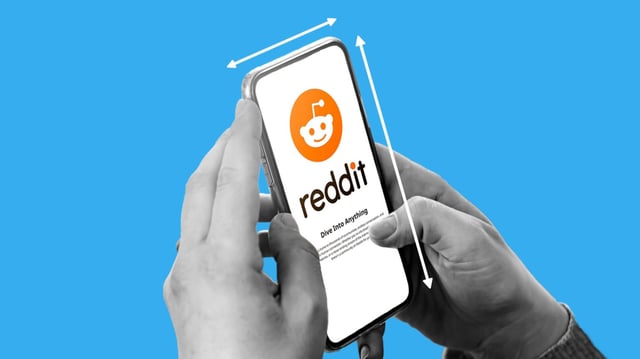 An image about Reddit confirms an incoming paywall will be released later this year