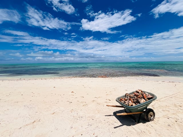 The turquoise waters are seen off the island of Providenciales in the Turks and Caicos.