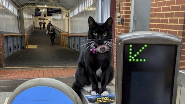Tilly, who has previously travelled solo on local buses, on her day out to London