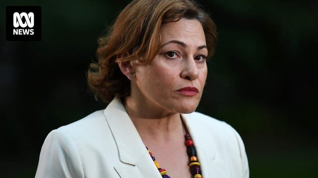 Queensland ALP MP Jackie Trad speaking to reporters
