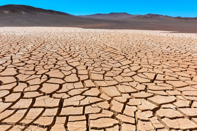 Dry, cracked earth in the Atacama Desert in Chile, where the study takes place. (Alberto Loyo/Shutterstock)