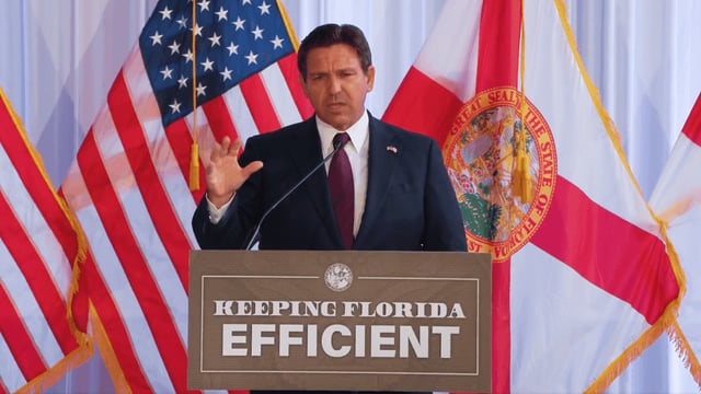 Gov. Ron DeSantis announced a Florida DOGE task force aimed at slashing government waste in the state. DeSantis said the new task force will help streamline the government and &#34;eliminate unnecessary bureaucracy&#34; to ensure tax dollars are used efficiently. (WEAR photo)