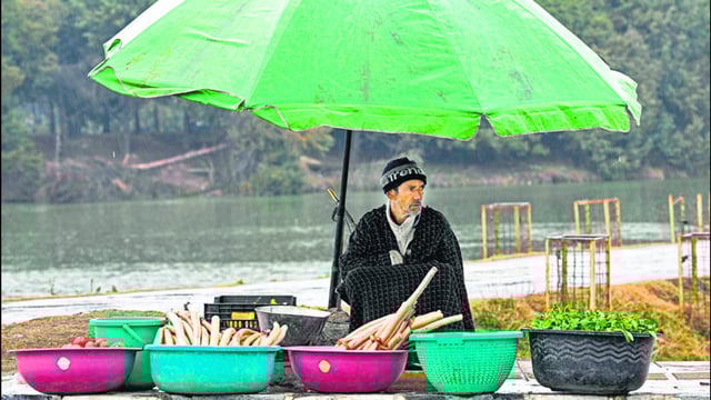 A Kashmiri vendor sells vegetables on the banks of Dal Lake amid rainfall in Srinagar on Tuesday. (AFP)