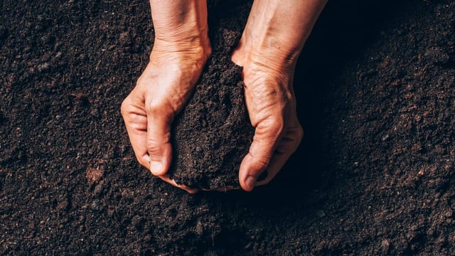 There's been a surge of melioidosis cases this year. Here's everything you need to know about the disease, what's causing it to spread, and your risk.