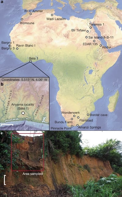 The site of Bété I in Côte d’Ivoire and other African sites dated to around 130,000-190,000 years ago. Image credit: Arous et al., doi: 10.1038/s41586-025-08613-y.