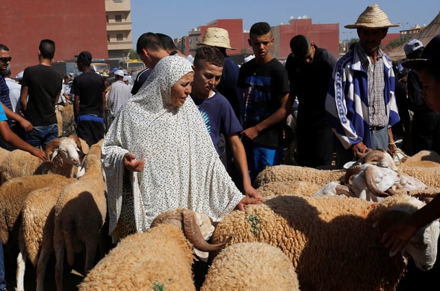 A woman buys a sheep at a livestock market, ahead of the Eid al-Adha festival, in the Moroccan city of Oujda September 11, 2016. REUTERS/Youssef Boudlal/File Photo