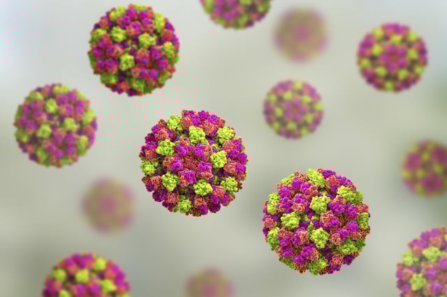 Norovirus spreads easily through contact with someone who has the virus, as well as via contaminated surfaces.   (Photo: Kateryna Kon/Science 
Photo Library)