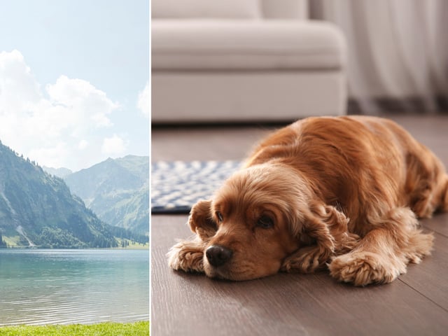 Ein Berg in Yichang, China, sorgt für Aufsehen. Der Fotograf Guo Qingshan veröffentlichte ein Foto des Berges, der aussieht wie ein Hundekopf. (Symbolbild)