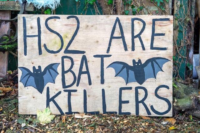 HS2 cost overruns include the construction of a one kilometre bat tunnel costing £100m. Photo: Maureen McLean / Alamy